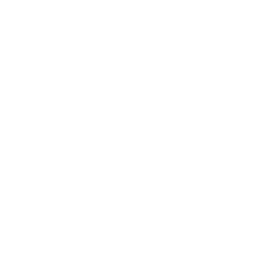 PinPointLogoWhite